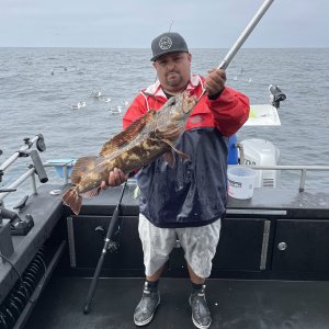 Lingcod Fishing San Francisco