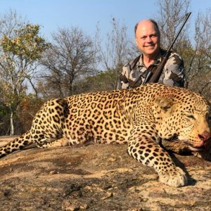 Leopard Hunting Zimbabwe