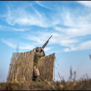 Wingshooting in South Africa