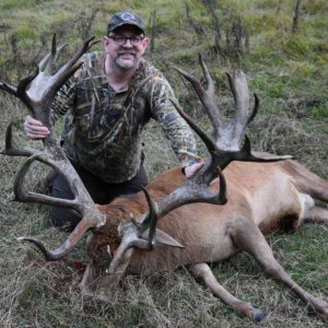 Red Stag Hunting New Zealand