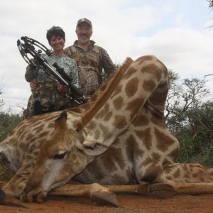 Giraffe Crossbow Hunting South Africa