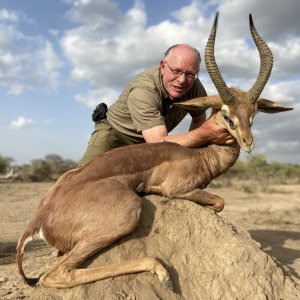 Gerenuk Hunt Tanzania