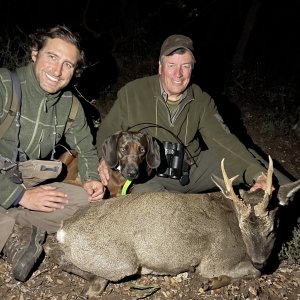 Trophy Roebuck Hunt Spain