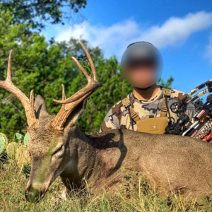 Roe Deer Bow Hunting