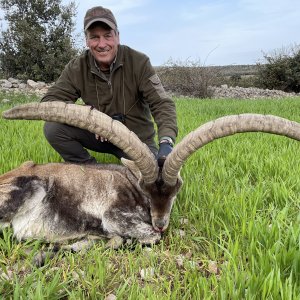 Beceite Ibex Hunt Spain