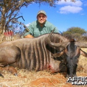 Bowhunting Wildebeest