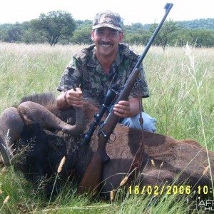 Hunting Black Wildebeest