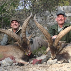 Hunting Beceite Ibex in Spain
