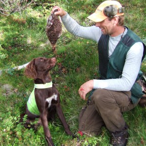 Grouse Hunting in Sweden
