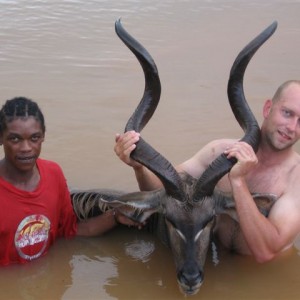 Drowned Kudu Bull