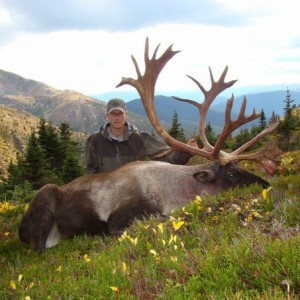 B and C Mountain Caribou Hunt