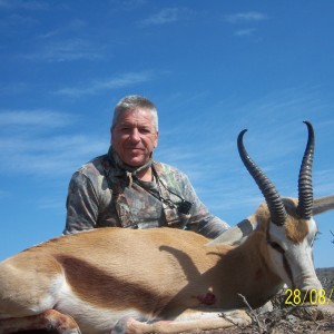 Springbok