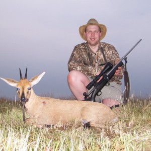 Hunting Duiker Kimberley South Africa