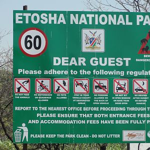 Etosha Namibia