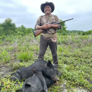 Hog Hunting Mississippi