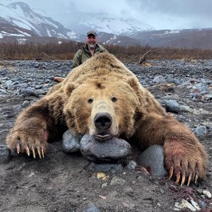 Bear Hunting Anchorage Alaskan Peninsula