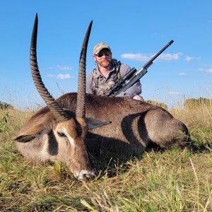 Waterbuck Hunting South Africa