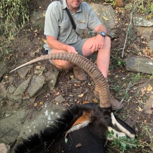 Sable Hunting South Africa
