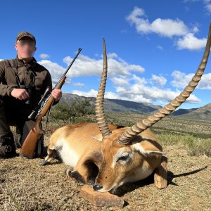 Lechwe Hunting Karoo South Africa