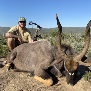 Nyala Hunting East Cape 3S SAFARIS