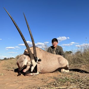 Gemsbok Hunting Thabazimbi Limpopo South Africa