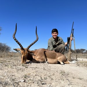 Impala Hunting Thabazimbi Limpopo South Africa