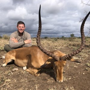 Impala Hunting Tanzania