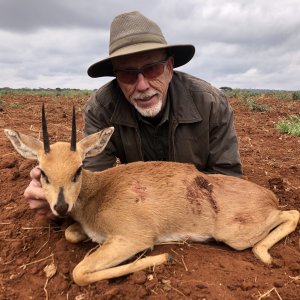 Steenbok Hunting Tanzania