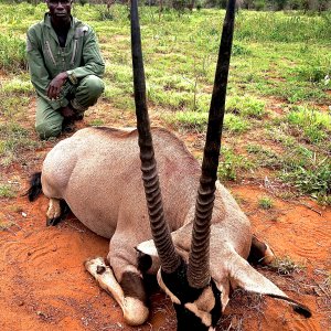 Gemsbok Hunting Tanzania