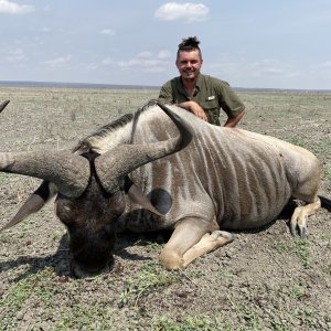 Blue Wildebeest Hunting Tanzania