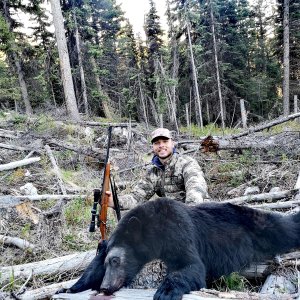 Black bear Hunt Canada
