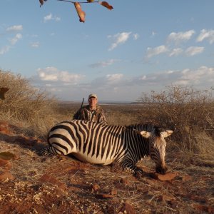 Hartmann's Mountain Zebra Hunt Namibia