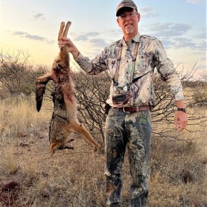 Jackal Hunt Namibia