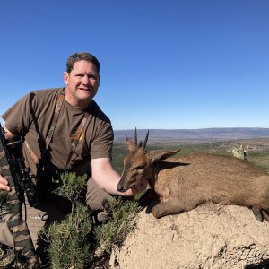 Duiker Hunt South Africa