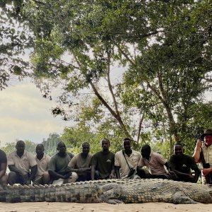 Crocodile with Zana Botes Safari