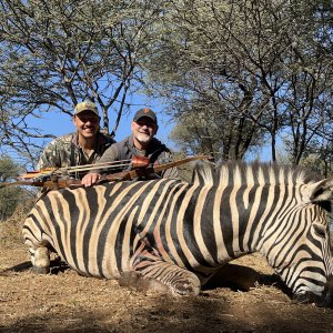 Zebra Bow Hunt South Africa