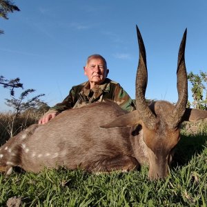 Bushbuck Hunting Eastern Cape South Africa