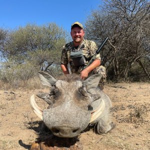 Warthog Hunting