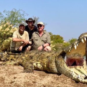 15 Feet Crocodile Hunt Kunene River Namibia