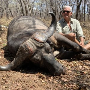 Buffalo Hunting Niassa Mozambique
