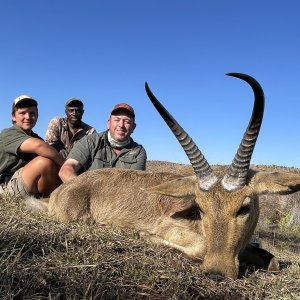 Common Reedbuck Hunt South Africa