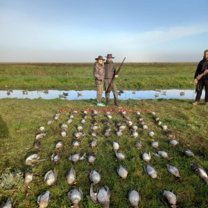 Argentina Wingshooting