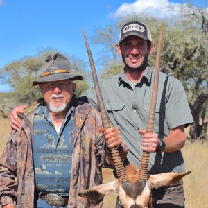 Gemsbok Hunt South Africa