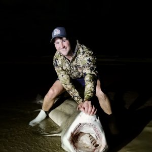 Shark Fishing South Africa