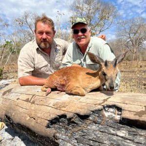 Grysbuck Hunt Mozambique