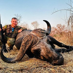 Cape Buffalo, Niassa Special Reserve Block L9, Kwalata Safaris