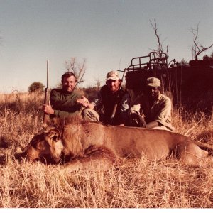 Lion Hunt Zimbabwe 1983