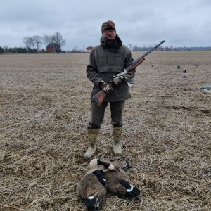 Geese Hunting