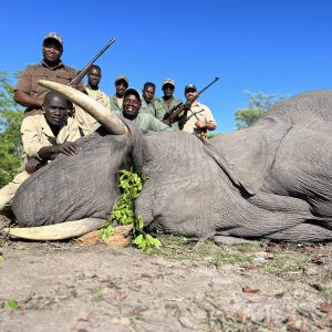 Elephant Hunt Caprivi Namibia