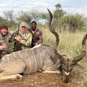 Kudu Hunting South Africa